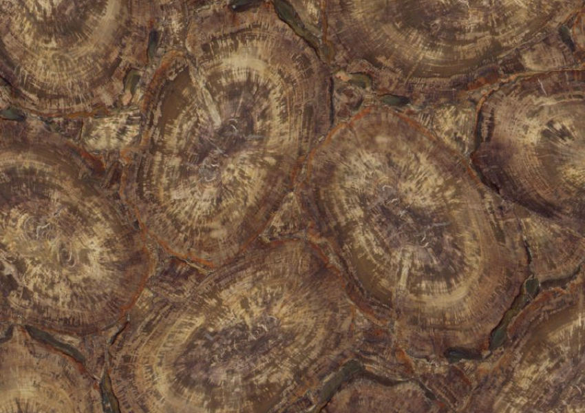 PETRIFIED WOOD BROWN